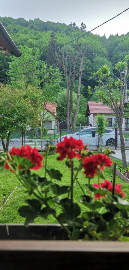 Casa Bunicilor Sinaia Villa Eksteriør bilde
